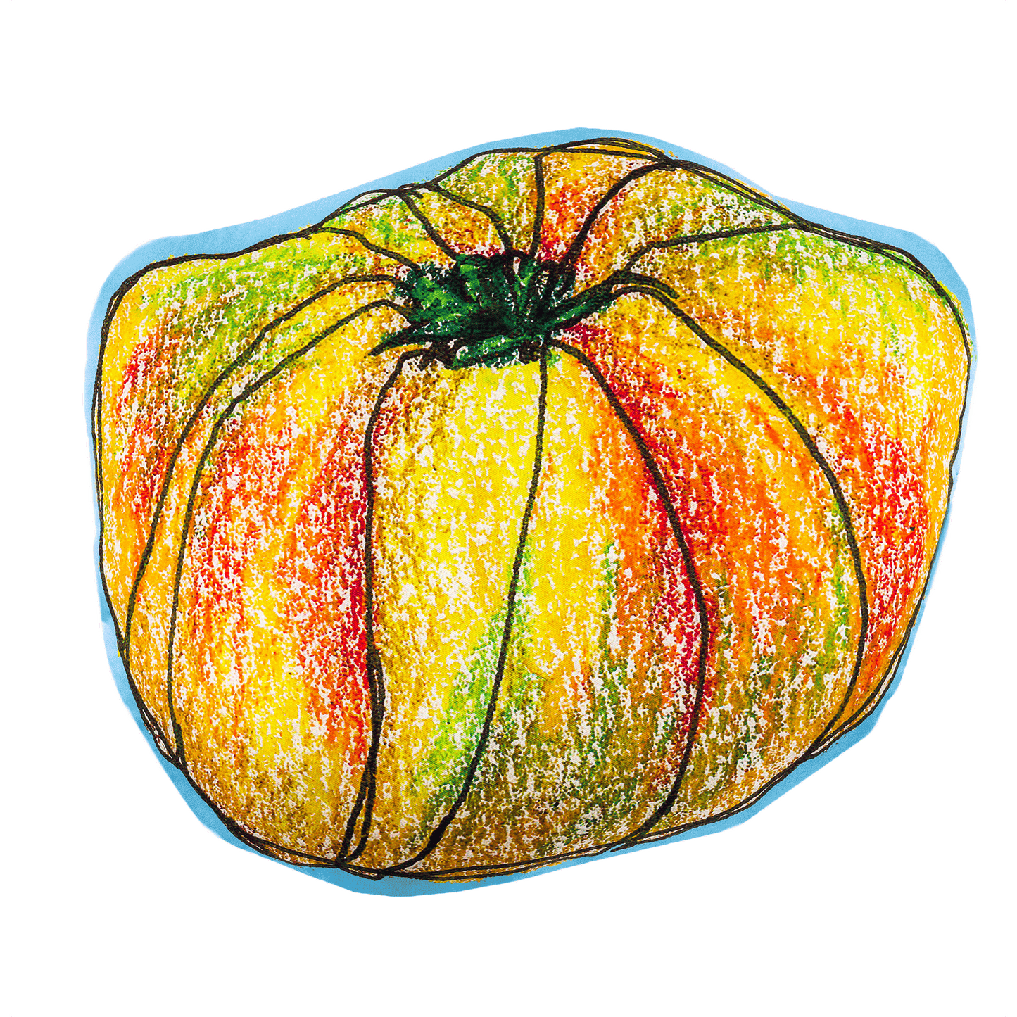 Heirloom Tomato Fun Cushion