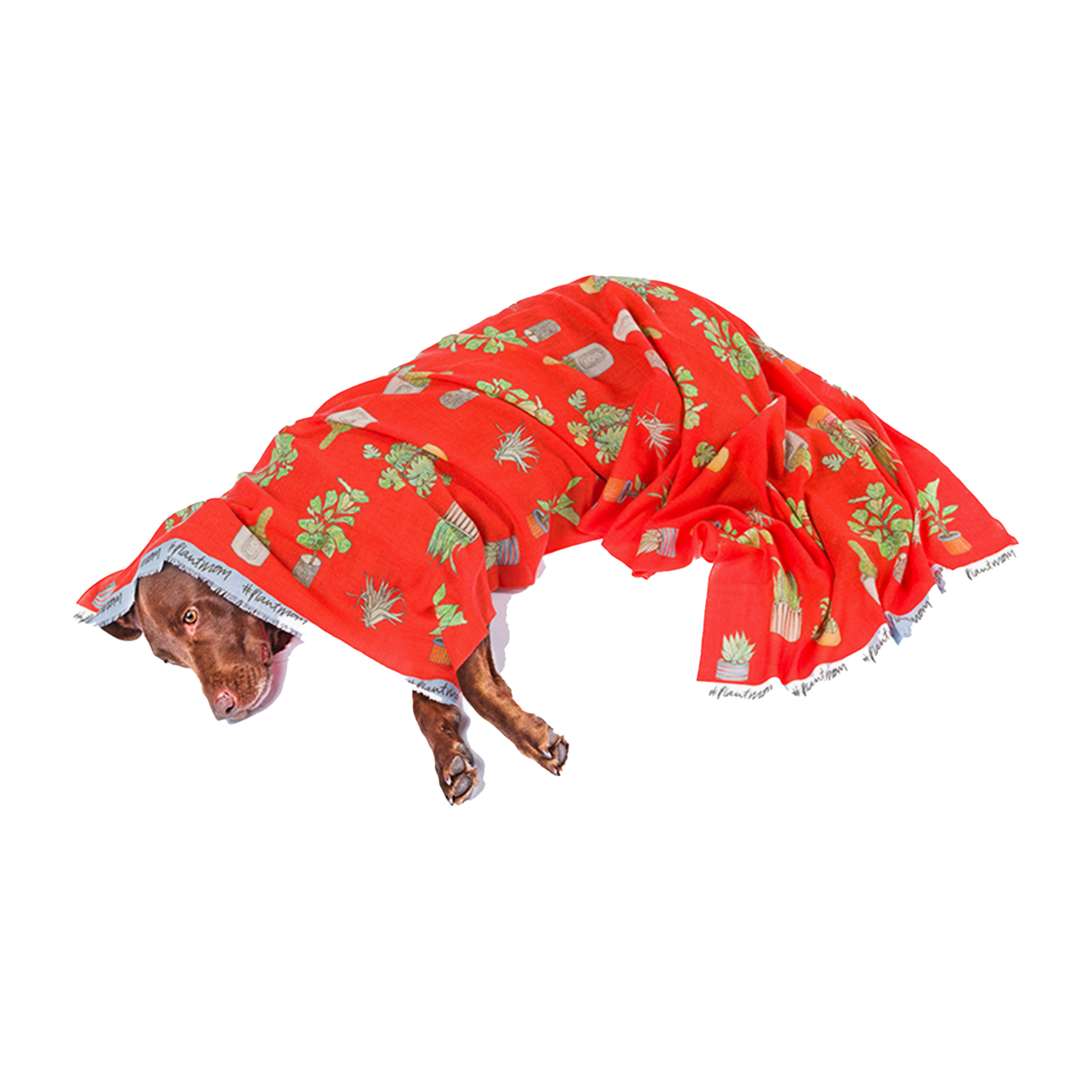 Plant Mom Wool Stole- SALE