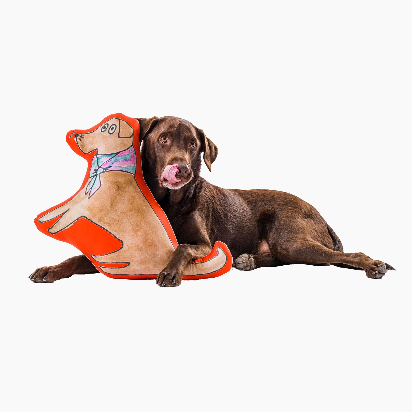 Phinn Fun Cushion
